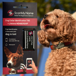 ScanMyName NFC dog tag anthracite uc EN 1